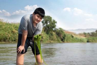 Asyalı çocuklar nehirde doğal olarak yetişen tatlı su yosunlarını tutarlar. Doğa, çevre koruma ve yüksek sıcaklığın su altı bitkilerinin büyümesi üzerindeki etkisini gözlemleme fikri.
