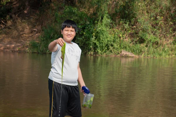 Rapazes Asiáticos Têm Algas Água Doce Que Crescem Naturalmente Num — Fotografia de Stock