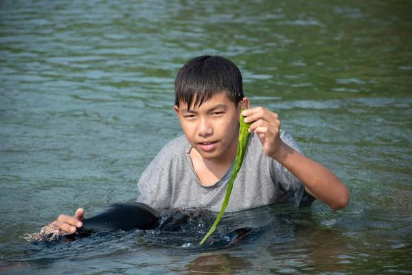 Asyalı Çocuklar Nehirde Doğal Olarak Yetişen Tatlı Yosunlarını Tutarlar Doğa — Stok fotoğraf