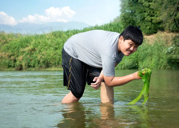 Les Garçons Asiatiques Détiennent Des Algues Eau Douce Qui Poussent — Photo