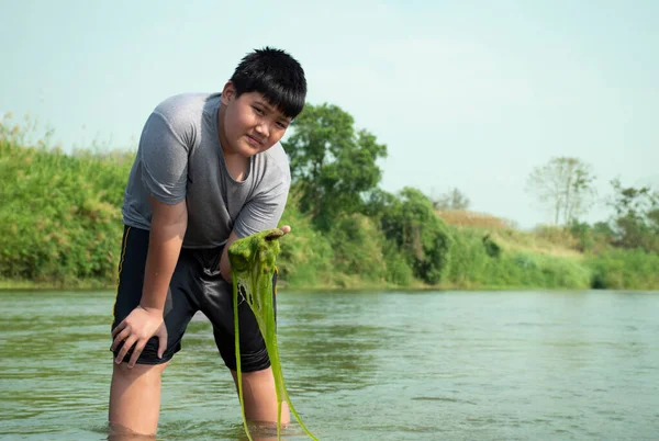 Asiatiska Pojkar Håller Sötvattenalger Som Växer Naturligt Flod Idé För — Stockfoto