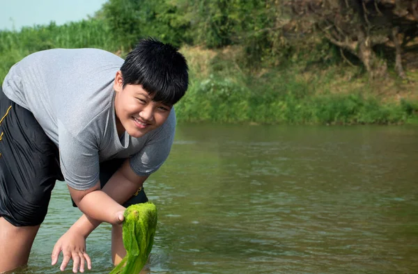 Ragazzi Asiatici Tengono Alghe Acqua Dolce Che Crescono Naturalmente Fiume — Foto Stock