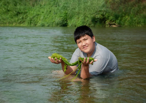 Asyalı Çocuklar Nehirde Doğal Olarak Yetişen Tatlı Yosunlarını Tutarlar Doğa — Stok fotoğraf