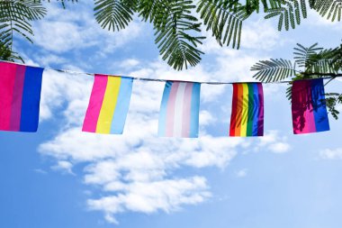 Lgbtq + bayraklar, güneşli bir günde bluesky 'ye karşı kabloyla asıldı, yumuşak ve seçici odaklanma, LGBTQ + cinsiyet kutlamaları için dünya çapında gurur ayında konsept.