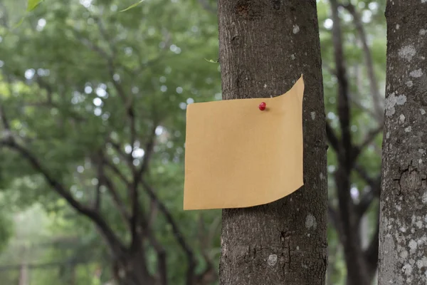 stock image Tree trunk which has blank wordcard board sticked on the bark, concept for environment study, nature study, calling out all people to care about trees around the world and world environment day.