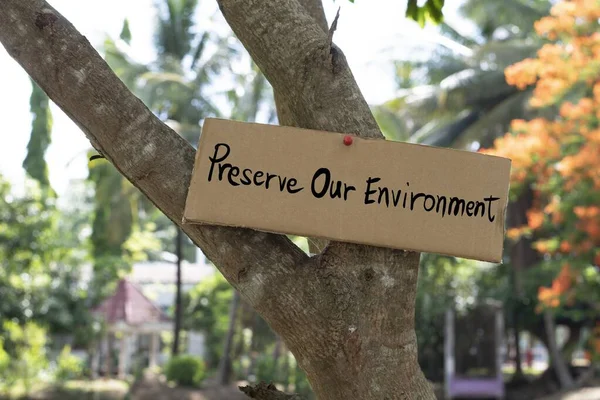 環境を守る の文字が書かれた箱から段ボールは 木の樹皮に貼り付けられ すべての人々が気にし プラスチックから汚染を倒すために呼び出されました — ストック写真
