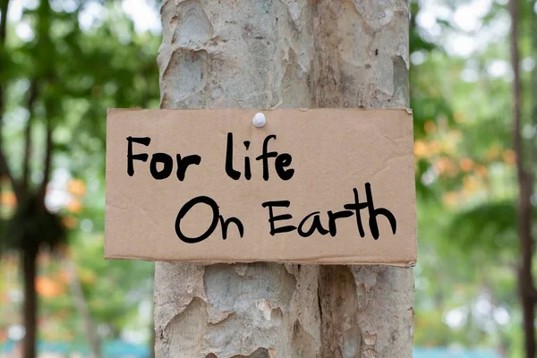 纸盒包装上贴有 为了地球上的生命 字样的纸板纸贴在树皮上 呼吁所有人关心自然 尊重自然 保护环境 — 图库照片