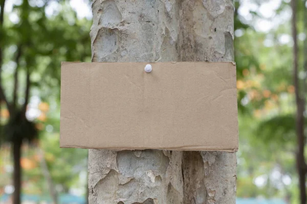 Tree Trunk Which Has Blank Wordcard Board Sticked Bark Concept — Stock Photo, Image