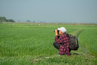 Ekose gömlekli ve şapkalı Asyalı bir çocuk sabahleyin çeltik tarlasında oturuyor ve elinde dürbünle gökyüzünde uçan kuşları izliyor ve pirinç tarlasında balık yiyor, yaz tatili..