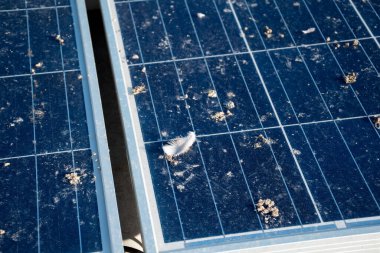 Çatıya güneşten gelen elektriği kullanmak için güneş panelleri kurulmuş, üst yüzey güvercin pisliği, toz, sis, duman, tüy ve ayak izleri, solarcell sistem bakım kavramı ile kirlenmiş.