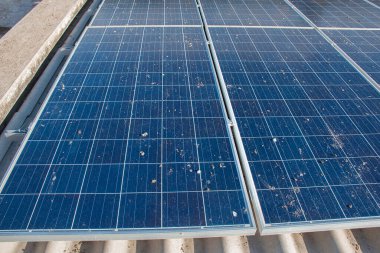 Çatıya güneşten gelen elektriği kullanmak için güneş panelleri kurulmuş, üst yüzey güvercin pisliği, toz, sis, duman, tüy ve ayak izleri, solarcell sistem bakım kavramı ile kirlenmiş.