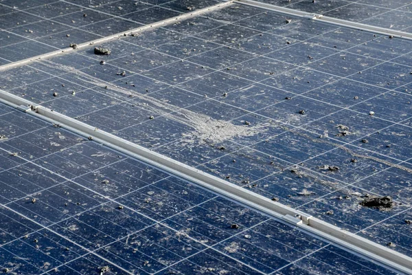 stock image Closeup view of upper surface of solar panels rooftop which are so dirty with stain, pigeon droppings, dust, fog, smoke, feather and birds footprints, solar panel maintenance system concept.