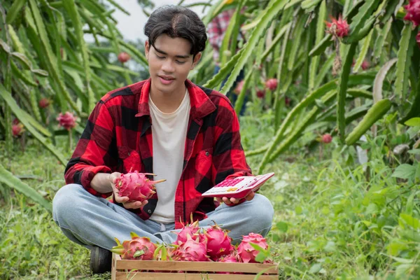 Ung Asiatisk Man Ler Och Håller Pitahaya Och Miniräknare Koncept — Stockfoto