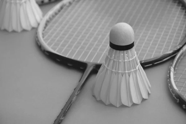 Cream white badminton shuttlecock and racket on floor in indoor badminton court, copy space, new edited, concept for endurance sports for healthy living.