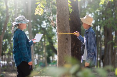 Asyalı bir okul çocuğu, ağaç gövdesi boyutunda bir mezura ile okul botanik bahçesi kütüphanesi için ağaçların bilgilerini kaydediyor..