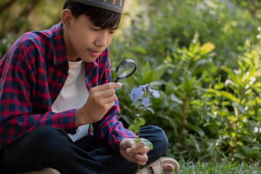 Asyalı yakışıklı okul çocuğu elinde mini taşınabilir mikroskop tutuyor ve elindeki saksı bitkisinin küçük detaylarına bakarak mercekten çalışmak ve rahatlamak için seçici bir şekilde odaklanıyor.