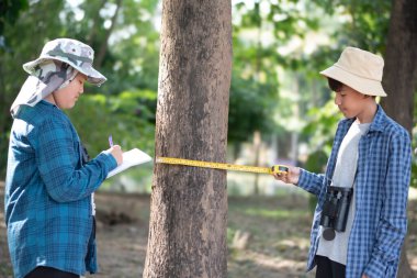 Asyalı bir çocuk, bir ağaç gövdesini mezurayla ölçüyor ve botanik bahçesi için ağaçların bilgilerini kaydediyor..