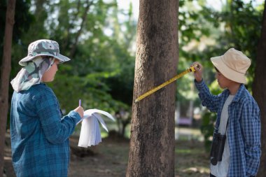 Asyalı bir çocuk, bir ağaç gövdesini mezurayla ölçüyor ve botanik bahçesi için ağaçların bilgilerini kaydediyor..