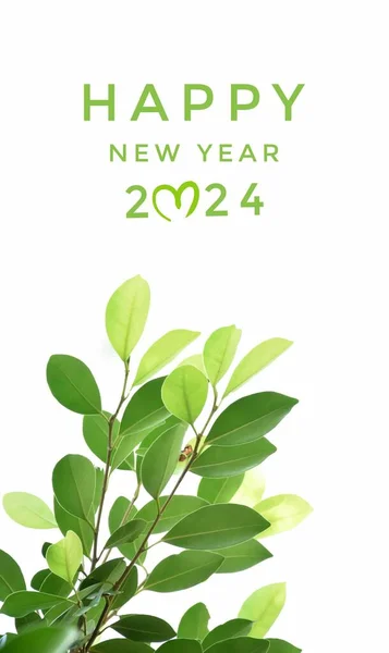 Happy new year 2024 on green tree leaves background, concept for 2024 new year celebration on postcard.