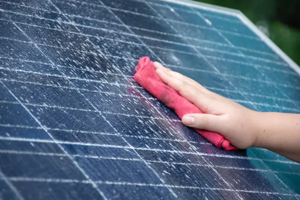Küçük solarcell panelinin üst yüzeyi tozla, kuş tüyüyle, yağmur suyu lekesiyle, kuşların dumanı ve toprağı ev sahibi tarafından temizleniyor ve yıkanıyordu..