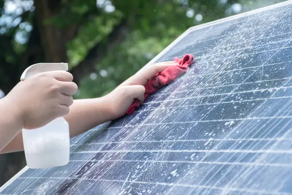 Küçük solarcell panelinin üst yüzeyi tozla, kuş tüyüyle, yağmur suyu lekesiyle, kuşların dumanı ve toprağı ev sahibi tarafından temizleniyor ve yıkanıyordu..