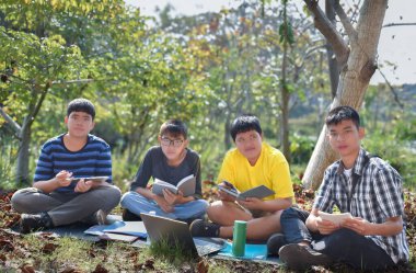 Bir grup Asyalı öğrenci parkta kitaplar ve dizüstü bilgisayarla çalışıyor..