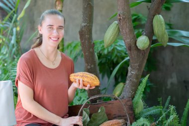 Genç Alman kadın sepeti tutuyor ve evinde yetişen sarı kakao meyvelerini topluyor..