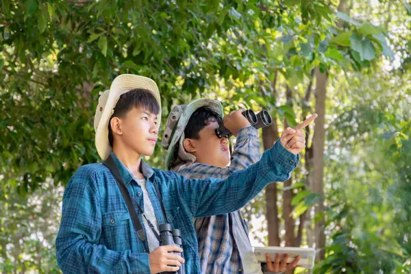 Yaz kampı sırasında tropikal ormanda kuş gözlemlemek için dürbün kullanan Asyalı çocuklar, sınıfın dışında yaşayan canlıları, vahşi hayvanları ve böcekleri öğrenme fikri.