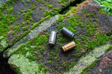 9mm pistol bullets and bullet shells on brick floor which has green moss, soft and selective focus, concept for searching a key piece of evidence in a murder case at the scene. clipart