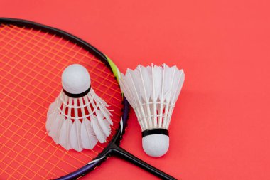 Badminton spor malzemeleri, raket ve beyaz krem rengi mekiks tüyü top kırmızı zeminde, yumuşak ve seçici odaklanma.