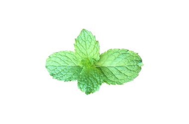 Kesme yolları olan beyaz zemin üzerinde izole edilmiş nane yaprağı veya mutfak nane yaprağı.