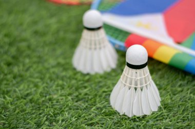 Beyaz krema servisi, badminton spor ekipmanları, Filipinler bayrağı ve gökkuşağı bayrağının önündeki yeşil çimlere yerleştirilmiş yerler, tüm cinsiyetler ve lgbtq + insanlar için badminton sporu kavramı.
