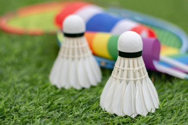 Beyaz Krem Mekik, badminton spor ekipmanları, Tayland ulusal bayrağı ve gökkuşağı bayrağı önünde yeşil çimlere yerleştirilmiş yerler, tüm cinsiyetler ve lgbtq + insanlar için badminton sporu kavramı.