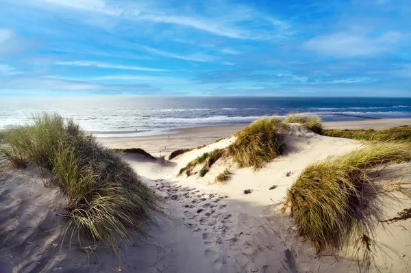 Dune Beach Fort Mahon Department Somme France — Stock Photo, Image