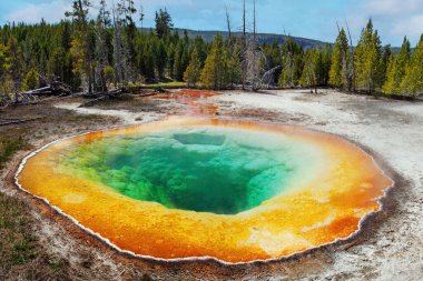 Morning Glory Havuzu - Yellowstone Ulusal Parkı. Morning Glory Havuzu, Amerika Birleşik Devletleri 'nin Yellowstone Yukarı Gayzer Havzası' nda bir kaplıcadır..