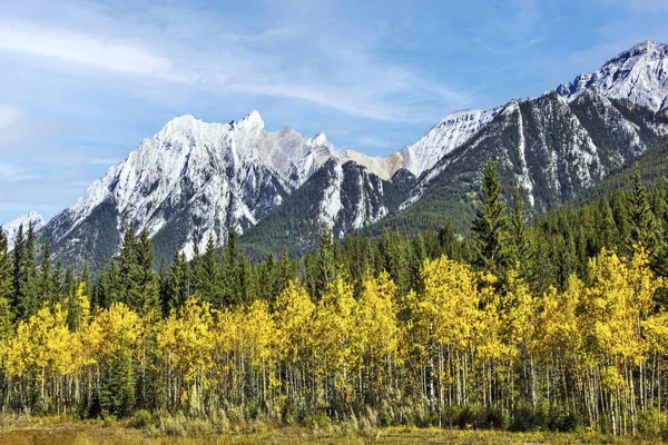 Podzim Národním Parku Banff Kanadskými Skalistými Horami Pozadí Provincie Alberta — Stock fotografie