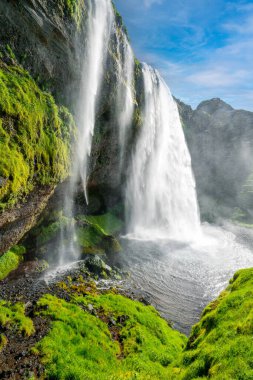 Seljalandsfoss Şelalesi, Güney İzlanda, Avrupa