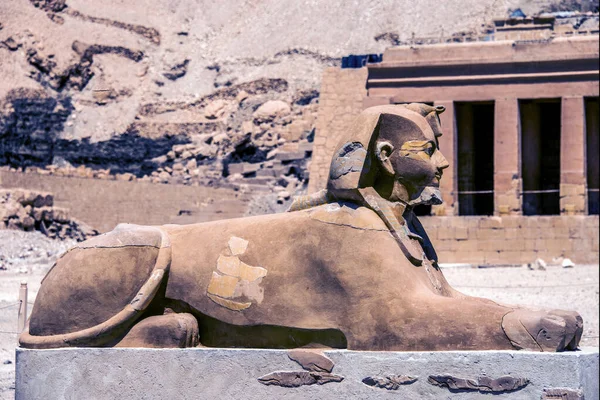 Estatua Esfinge Entrada Del Templo Hatshepsut Luxor Egipto —  Fotos de Stock