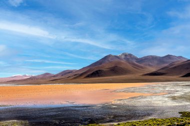 Laguna Colorada manzarası, Altiplano - Bolivya.