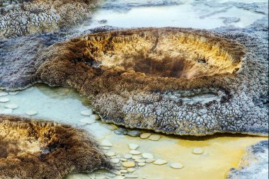 Yellowstone Ulusal Parkı 'ndaki Old Faithful' da jeotermal havuzlar. ABD