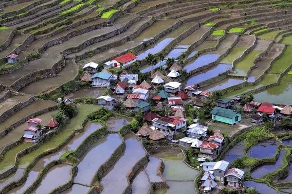 Batad Köyü, Luzon Adası, Filipinler. Filipin Kordilleras Pirinç Terasları, UNESCO
