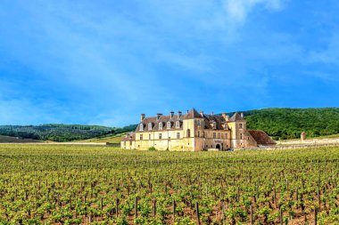 Burgundy bölgesi, Cote d 'Or bölümü, Fransa. Vougeot 'taki Clos de Vougeot üzüm bağları ve şatosu. Büyük Cru sınıfı.