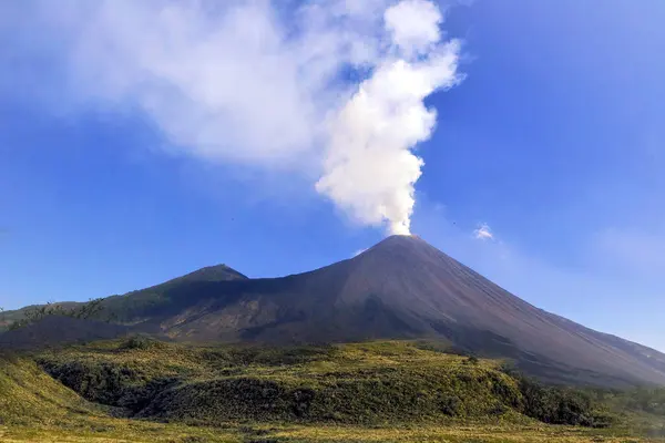 Guatemala. Pacaya volcano with a plume of smoke at its summit