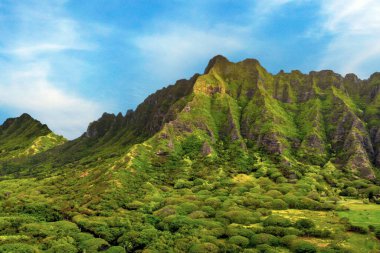 ABD 'nin Hawaii eyaletinin Oahu adasındaki Kualoa Bölgesel Parkı' ndaki dağ sıraları. 