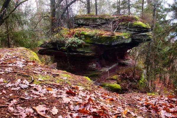 冬の日にドイツのPalatate森林で岩の形成の横に枯れ葉がある丘 — ストック写真