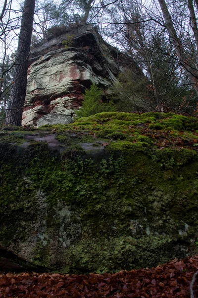 在德国 冬季的一天 在帕拉廷森林的岩壁后面 岩石的形成覆盖着苔藓 — 图库照片