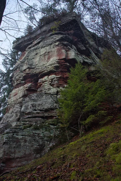 冬の日にドイツのプファルツの森の丘の上の岩の形成の側 — ストック写真