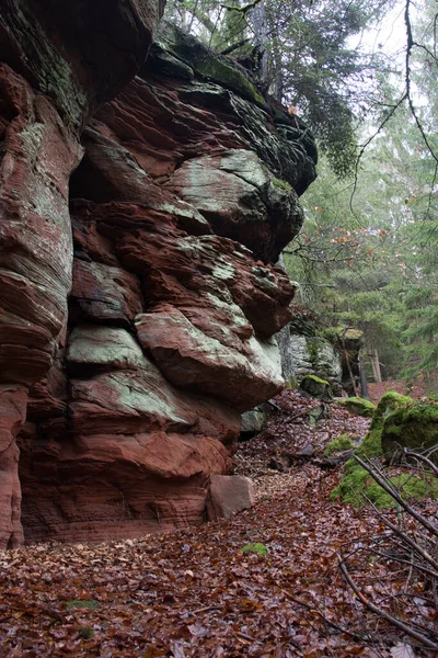 Strona Kolorowego Czerwono Zielonego Muru Skalnego Lesie Palatyńskim Niemczech Zimowy — Zdjęcie stockowe