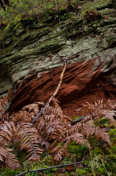 Textura Las Capas Una Formación Rocosa Bosque Palatinado Alemania Cerca — Foto de Stock