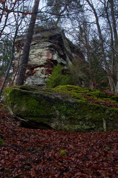 德国帕拉廷森林 在高大的岩层前 覆盖着绿色苔藓的岩石 — 图库照片